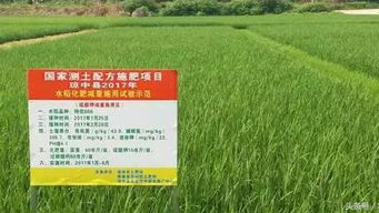 海南农户种植作物产量好，只因遇上了“良才”农作物种植方案